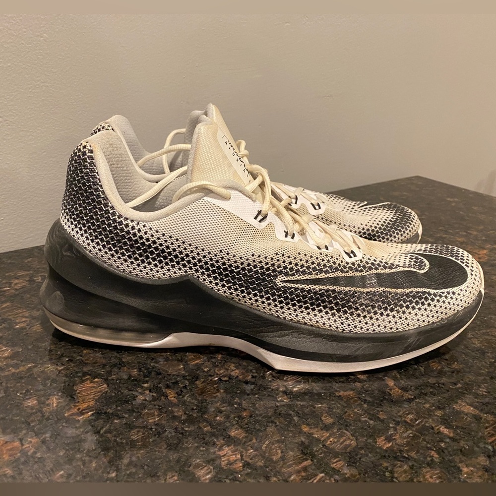 Nike Infinite (low)